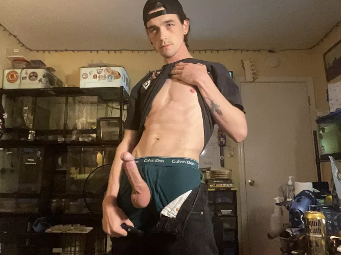 What’s next? by geckoskater