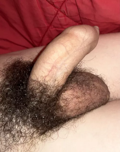 Whats your opinion? by Newadd_1