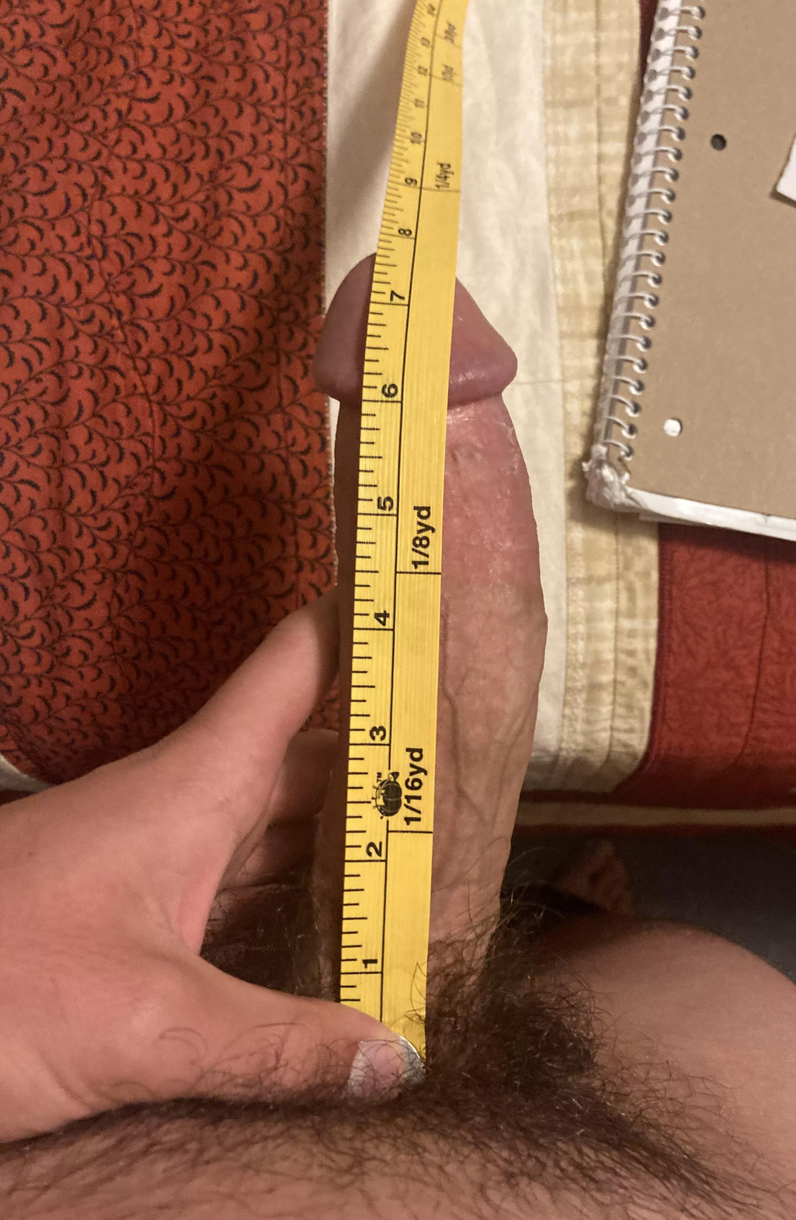 What’s your preferred size? Be honest! posted by hung_stud8in