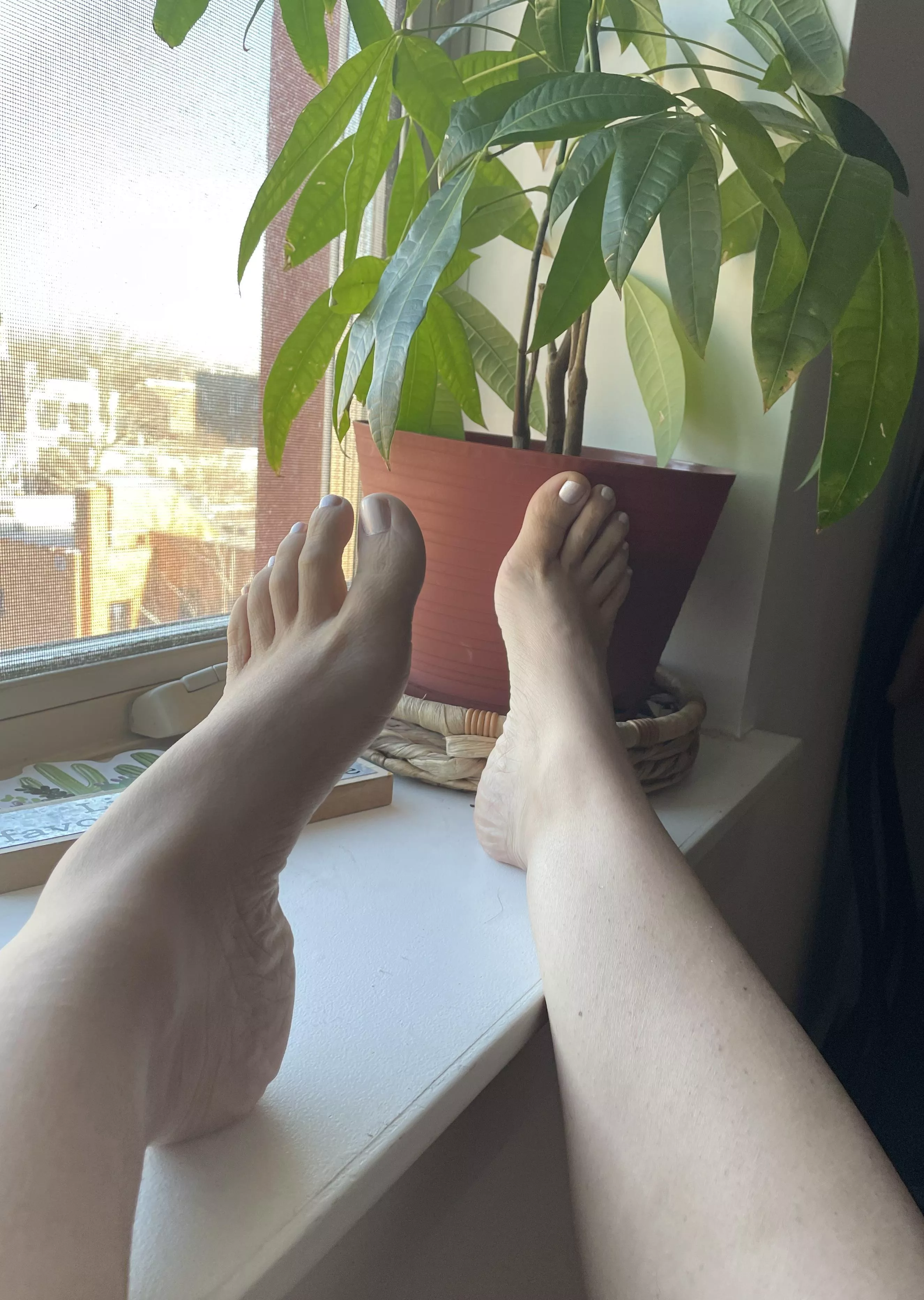 When in doubt, rub one out 😉 posted by JazzyRod430