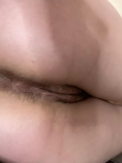 when should i shave by meganholly00