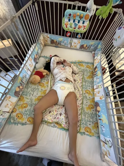 Where can I get a crib like this? by robert-snow-7