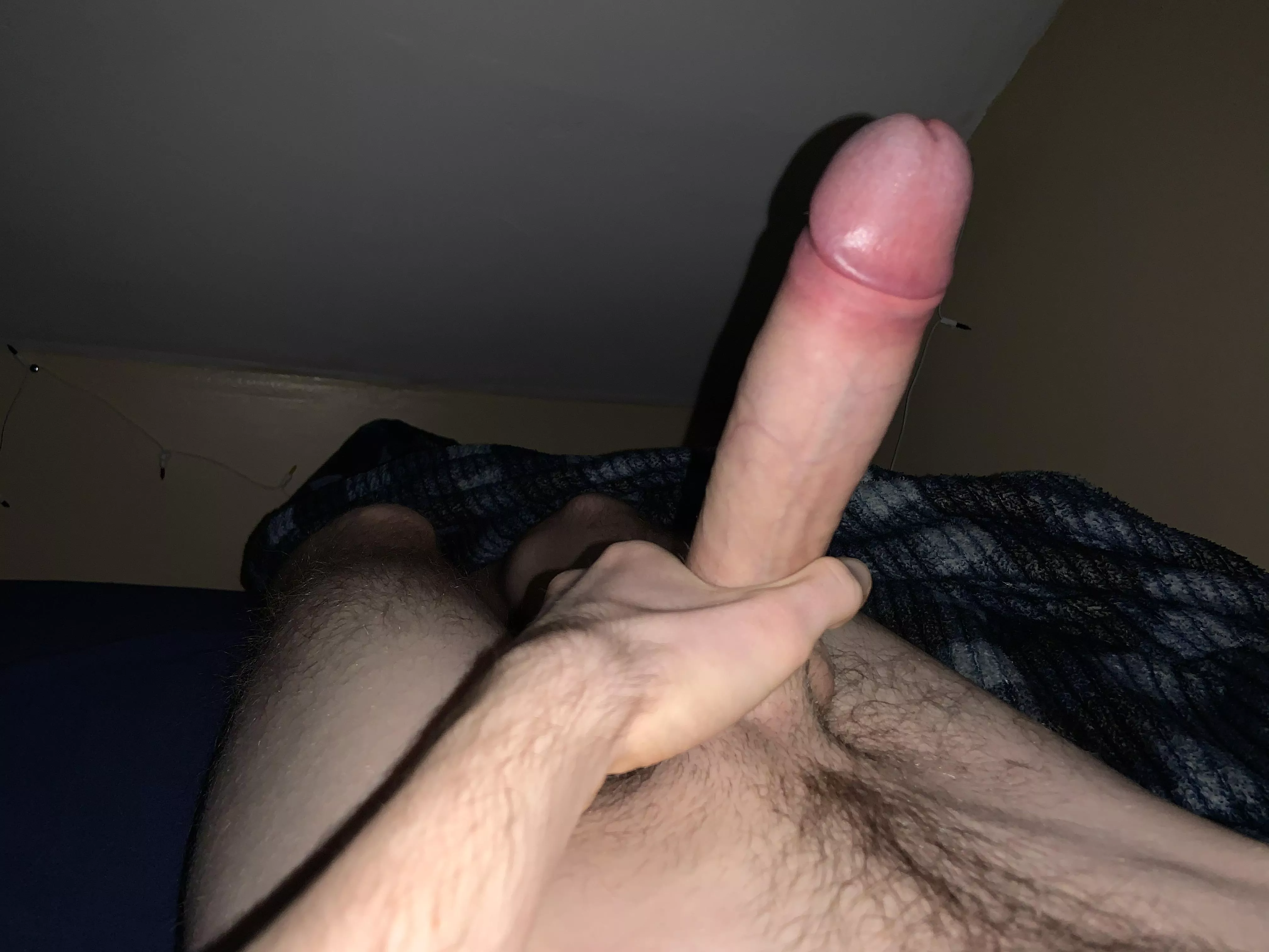 Where can I put this? posted by AskMeAboutBoobs