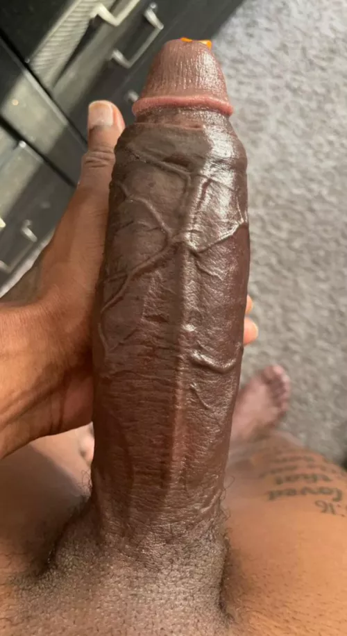 Where my slaves at, get on your knees and let me bless you 🍆 by jamieleigh1909