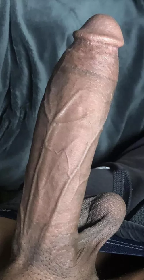 Where my snowbunnies at by YourFaveMonstercock