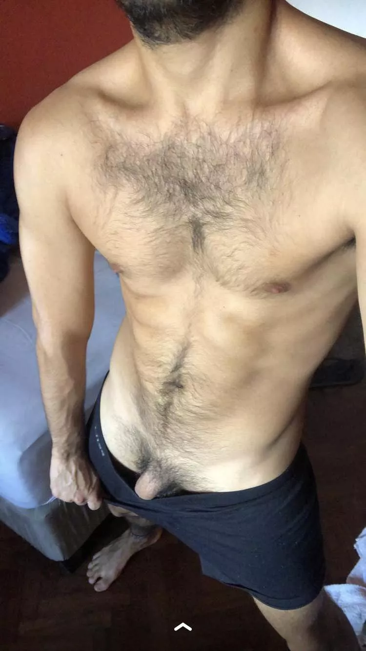 Where the hairy otter asses at? posted by Either-Explorer8229