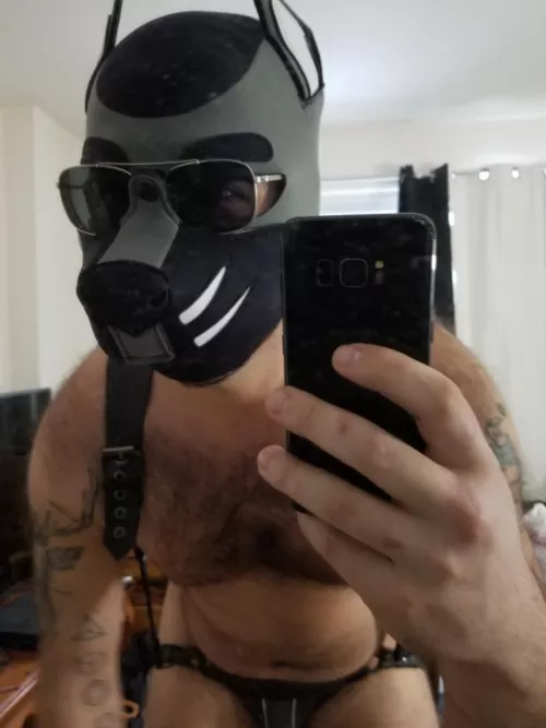 Where them good pups at? by Alpha_Wvlf