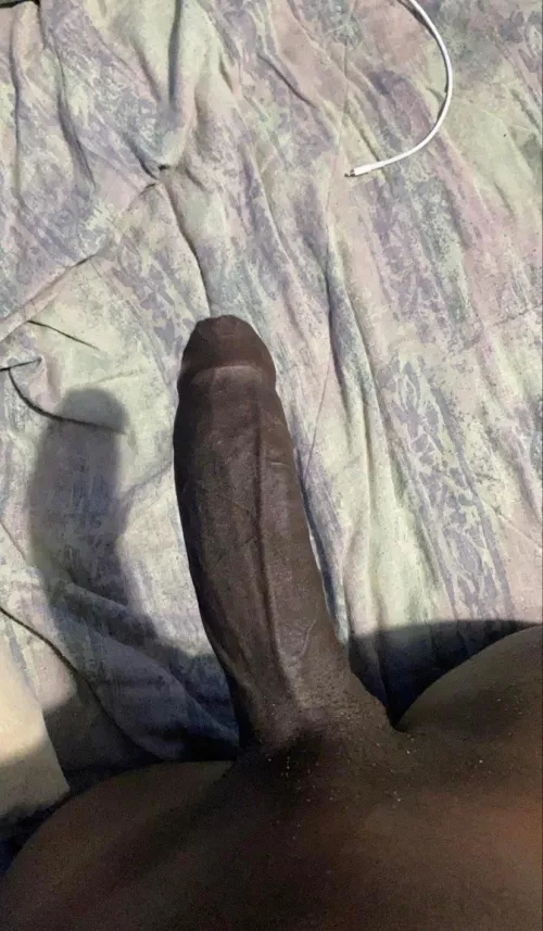 Where them sexy snow bunnies at? DM yo boy! by buckeyesfan81