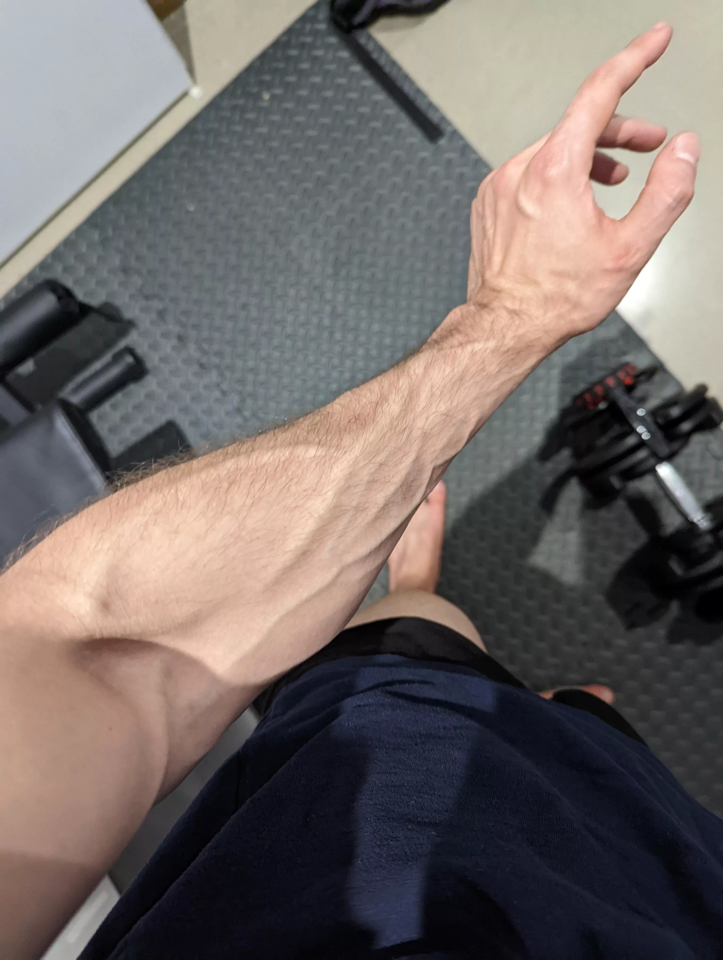 where will this road lead us I wonder posted by Conditionalll