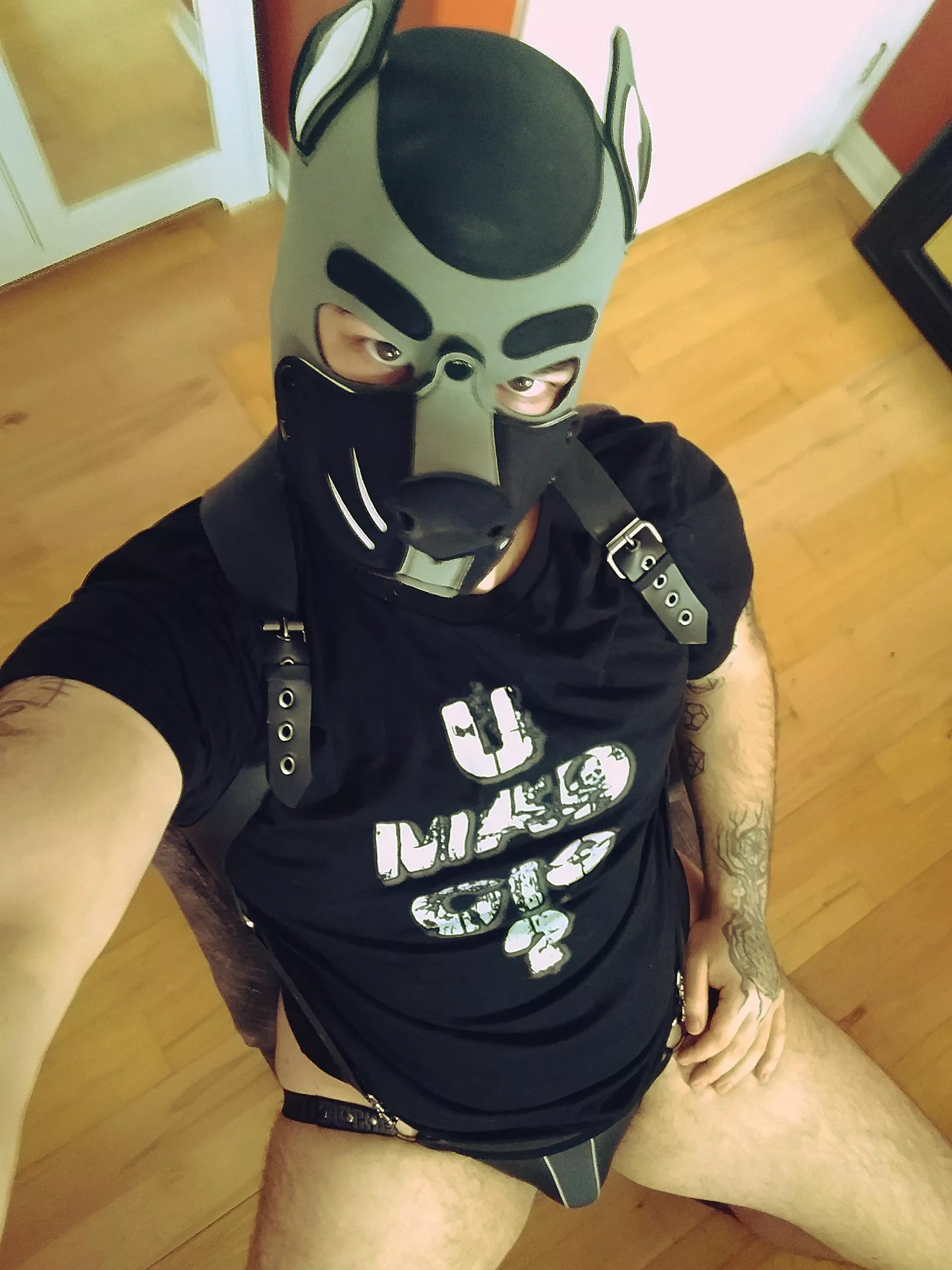 Where's a good pup when you need one? posted by Alpha_Wvlf