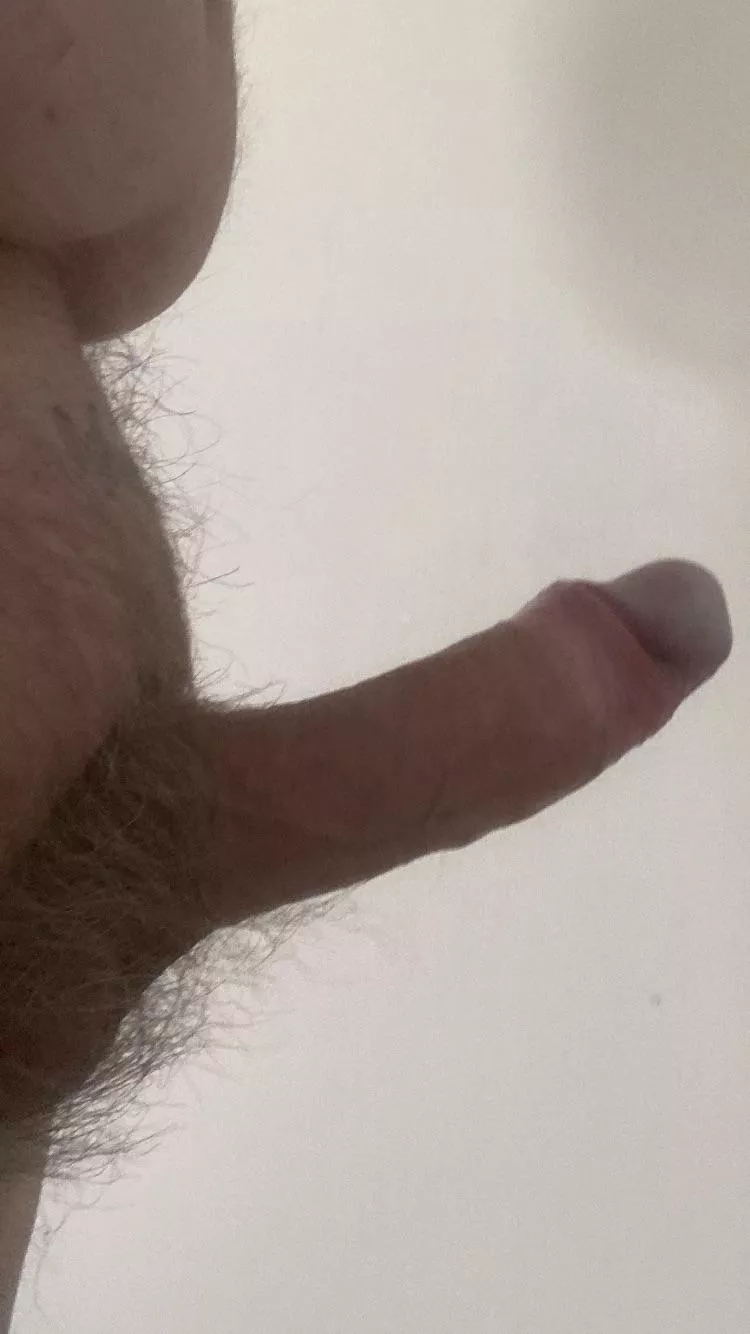 Wherever I go as soon as I look on Reddit he pops up 🙄(58) posted by braddydon1964