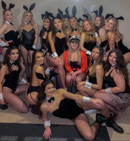 Which bunny do You pick? by Public-Writer5105