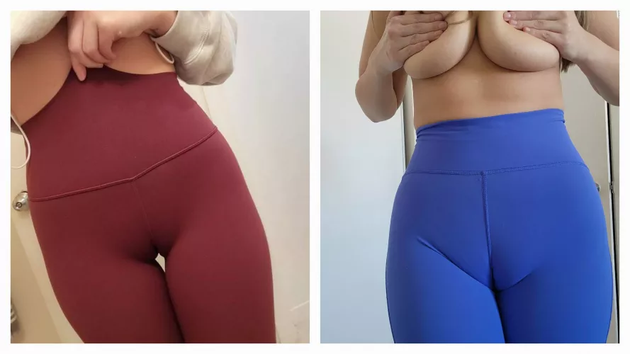 which camel to would you prefer to drink from? 😛 by BrittanyBJ