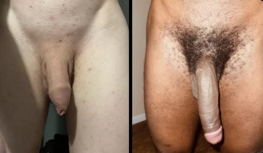 Which is better? Left or right. by twinkcam