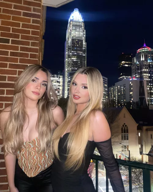 which one? [2] by siimple_code