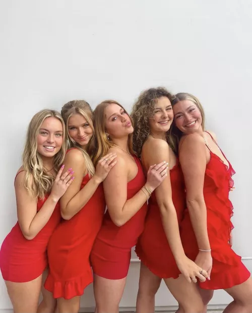 Which one and why ? by BDBindawest