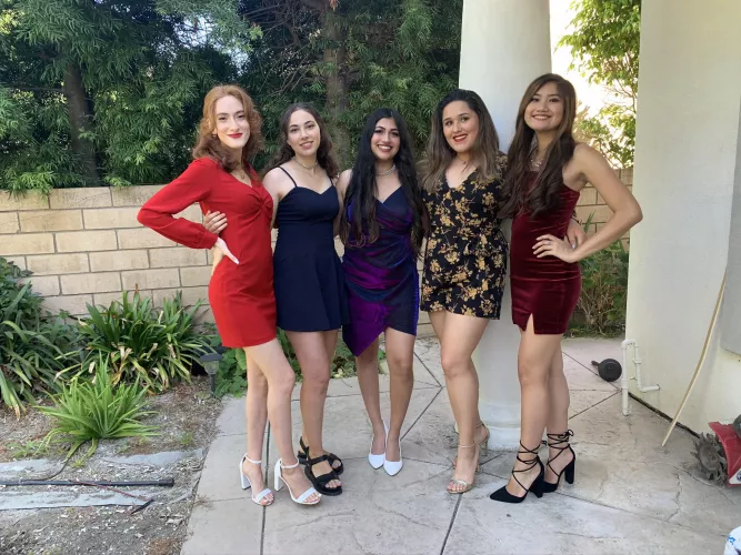 Which one and why? by bootyboii1738