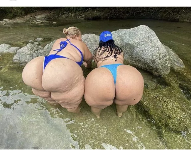 Which one are you taking? by Enchanted_Tomorrow_