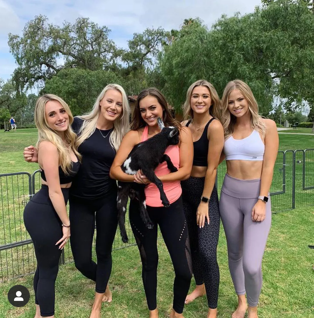 which one ? posted by qevoh