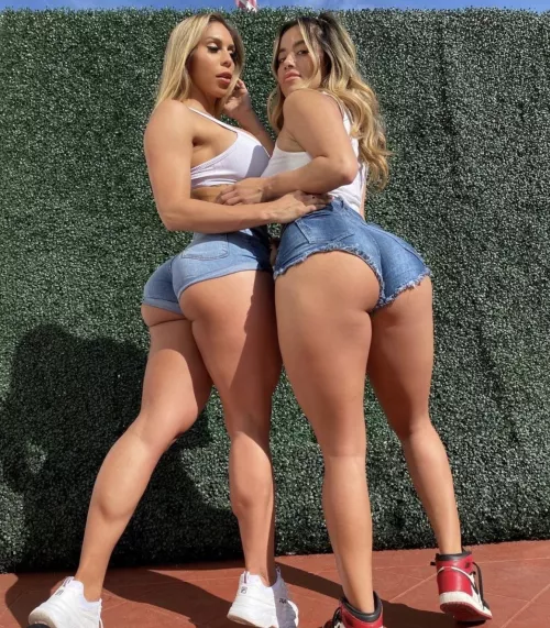 Which one? by Amtexas84