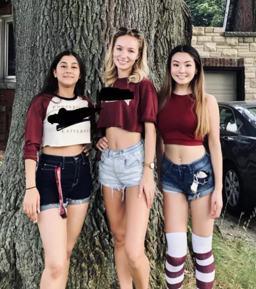 Which one is looks the most fun by thibauted