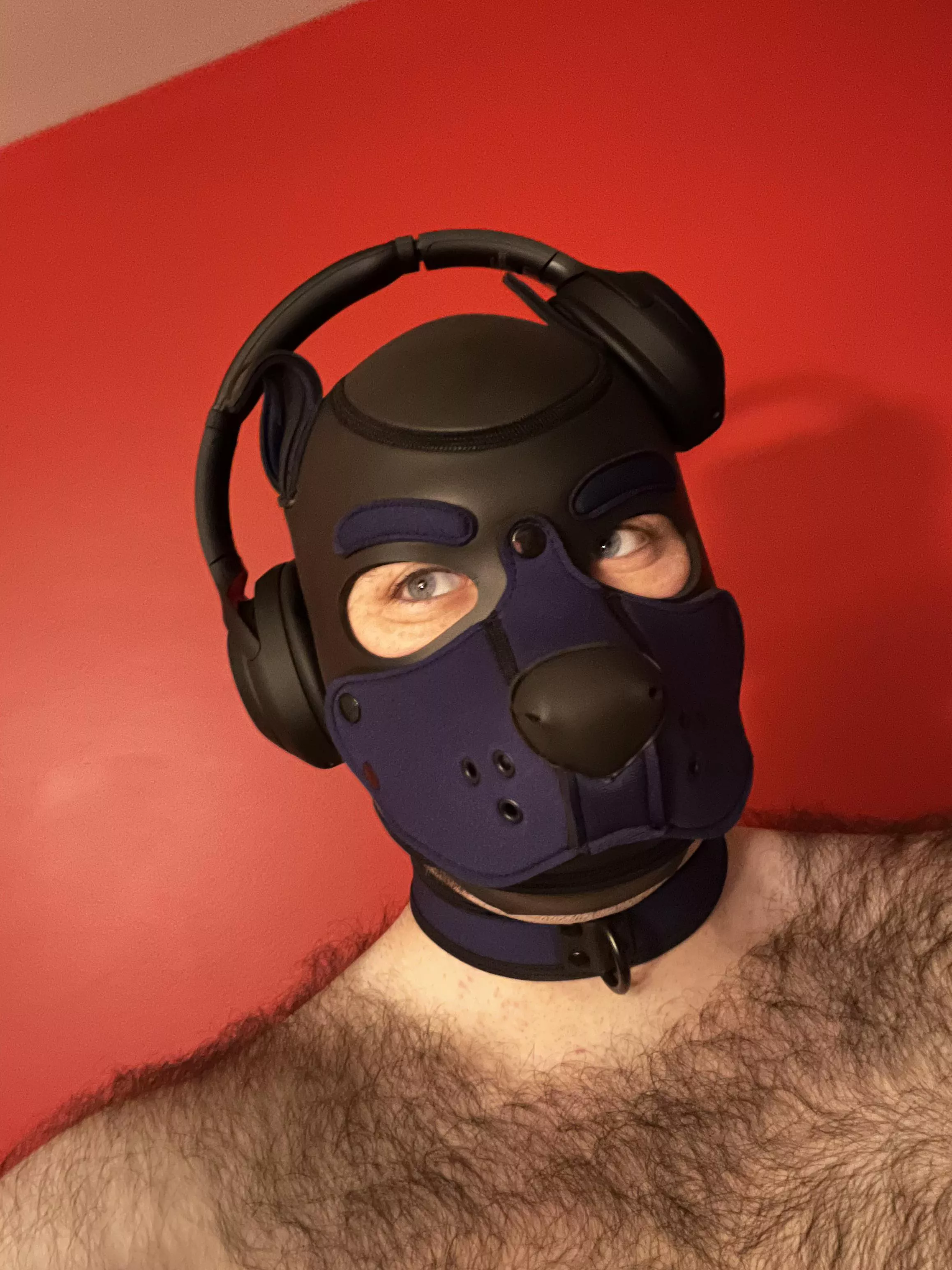 Which way is the correct way to wear headphones? posted by uuuuuuuuuuuuuuuuuuu