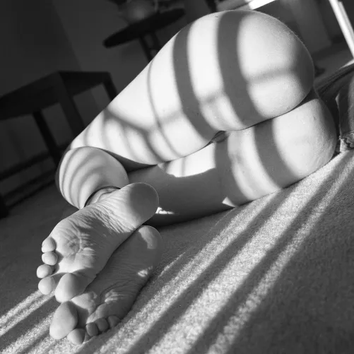 Which would you play with first? by SilverArches