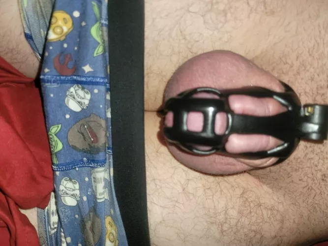 Which you like better, my undies or my caged cock? by passionate_rod