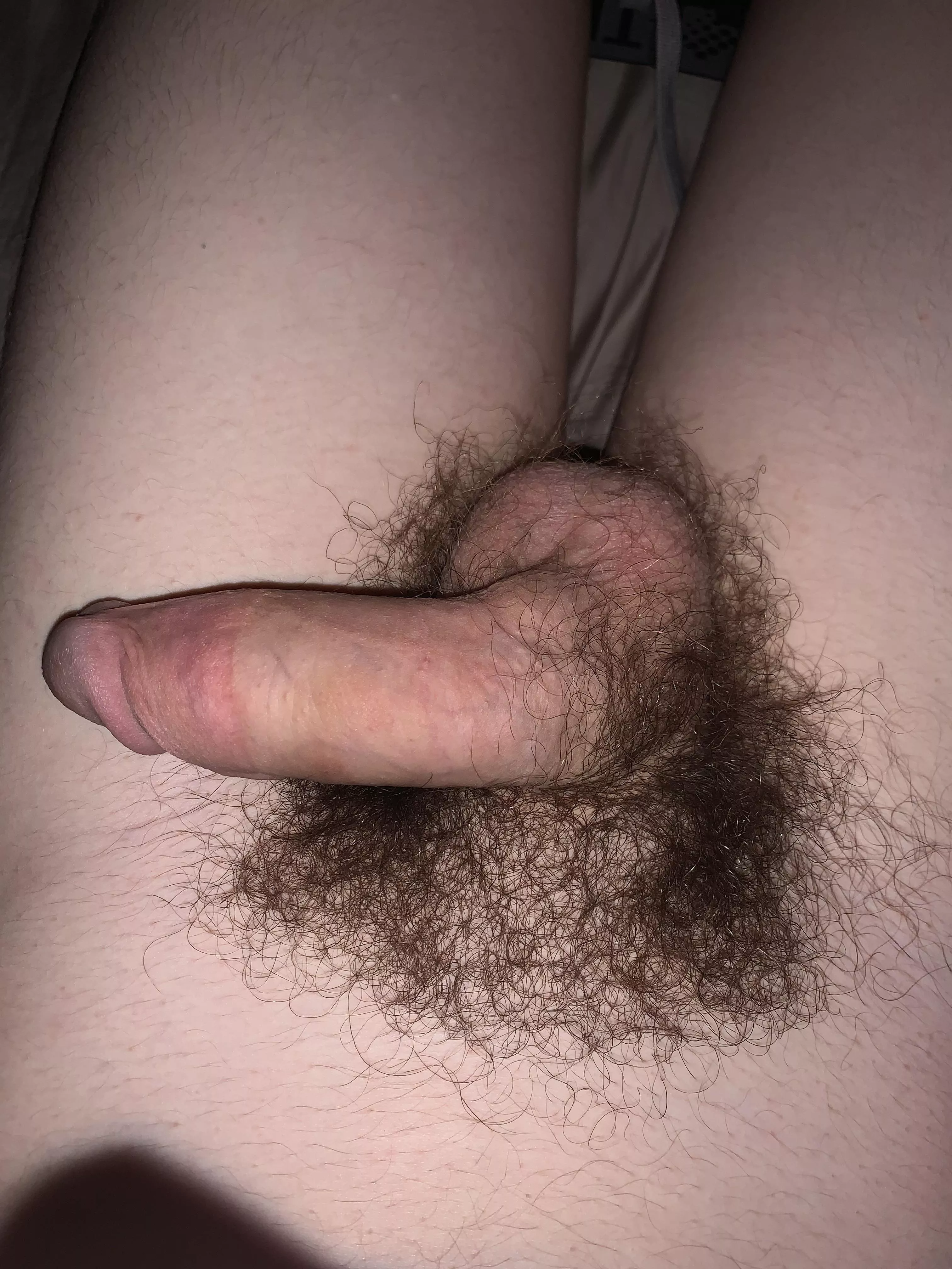 White guy two tone posted by bendaman21