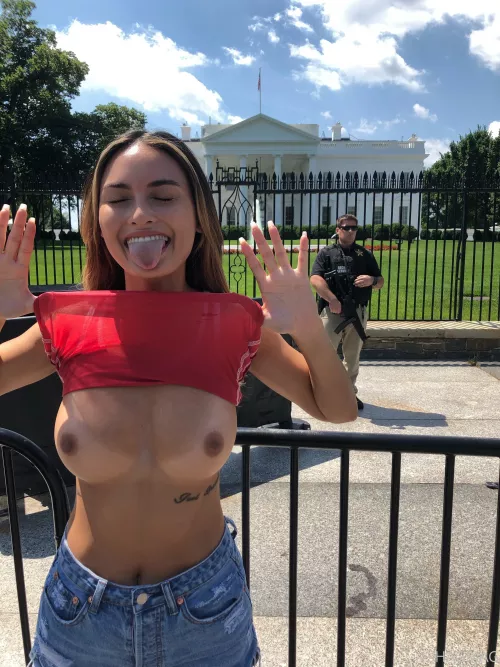 White house flashing by skin-mac