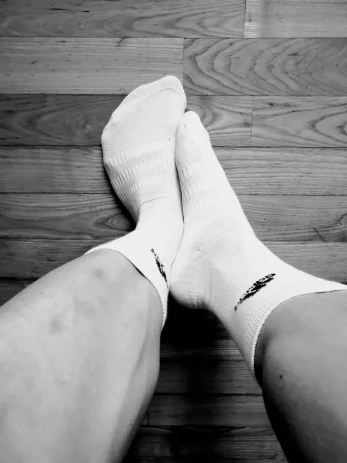 White 'n black 'n white by kaihonhere