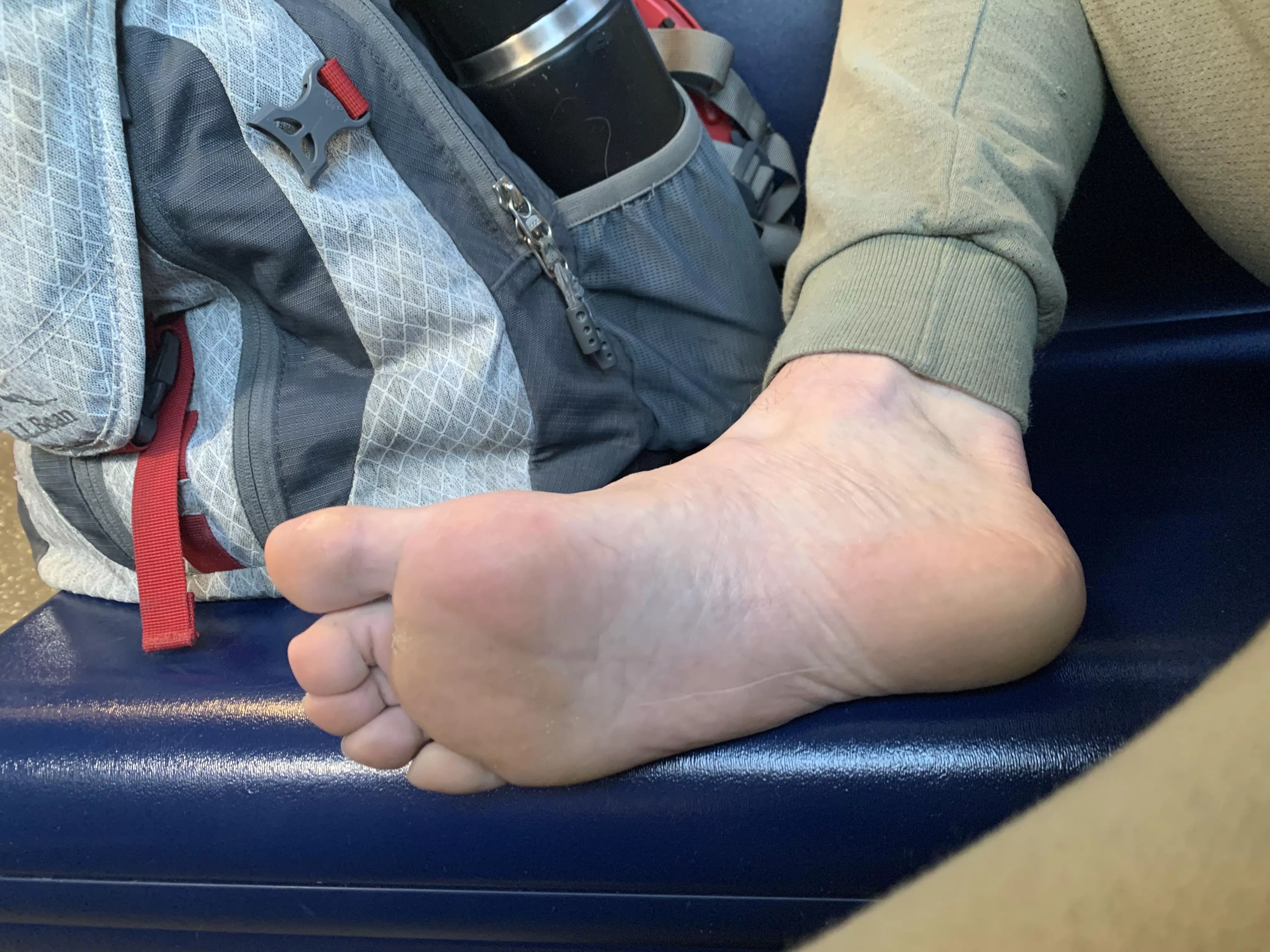 Who awnts a sinff and lick in public? posted by blessrundown