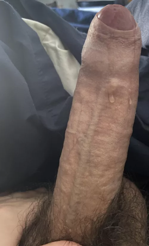 Who can provide some joy to to this stick by hudson2022