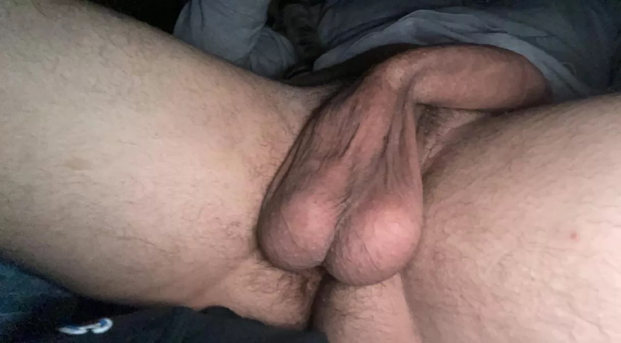 Who can swallow them posted by Repulsive_End2240