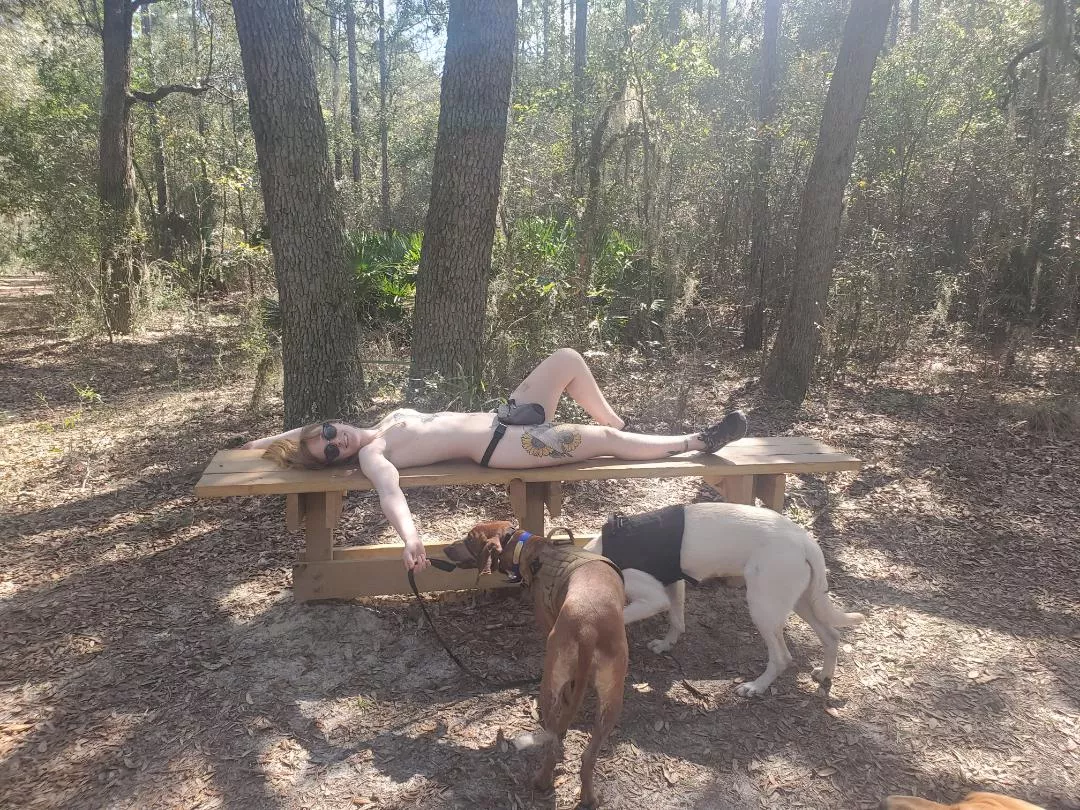 who doesn't love trails ☀️🍃🌿 posted by mypurgatoryplayroom