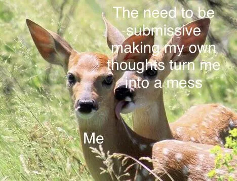 Who else can relate? posted by nonanonymouslone