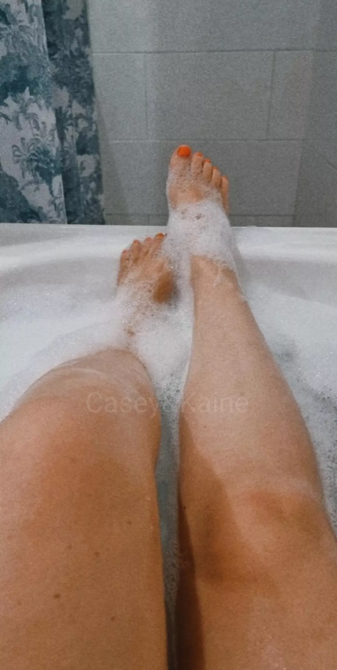 who else is horny on reddit right now posted by itscurvycasey