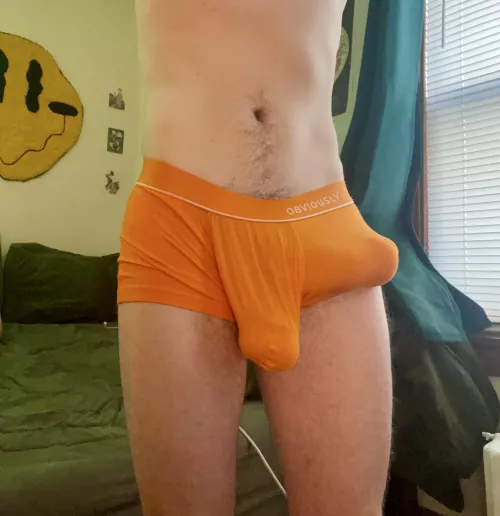 Who else likes to show off their bulge after pumping? by bulgedylan