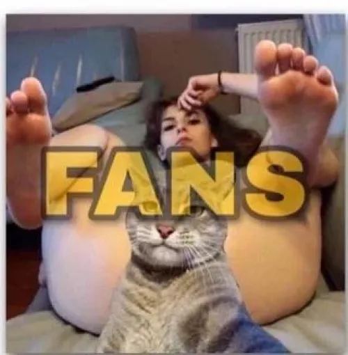 who is this pls don't have battery picture by International-Ear592