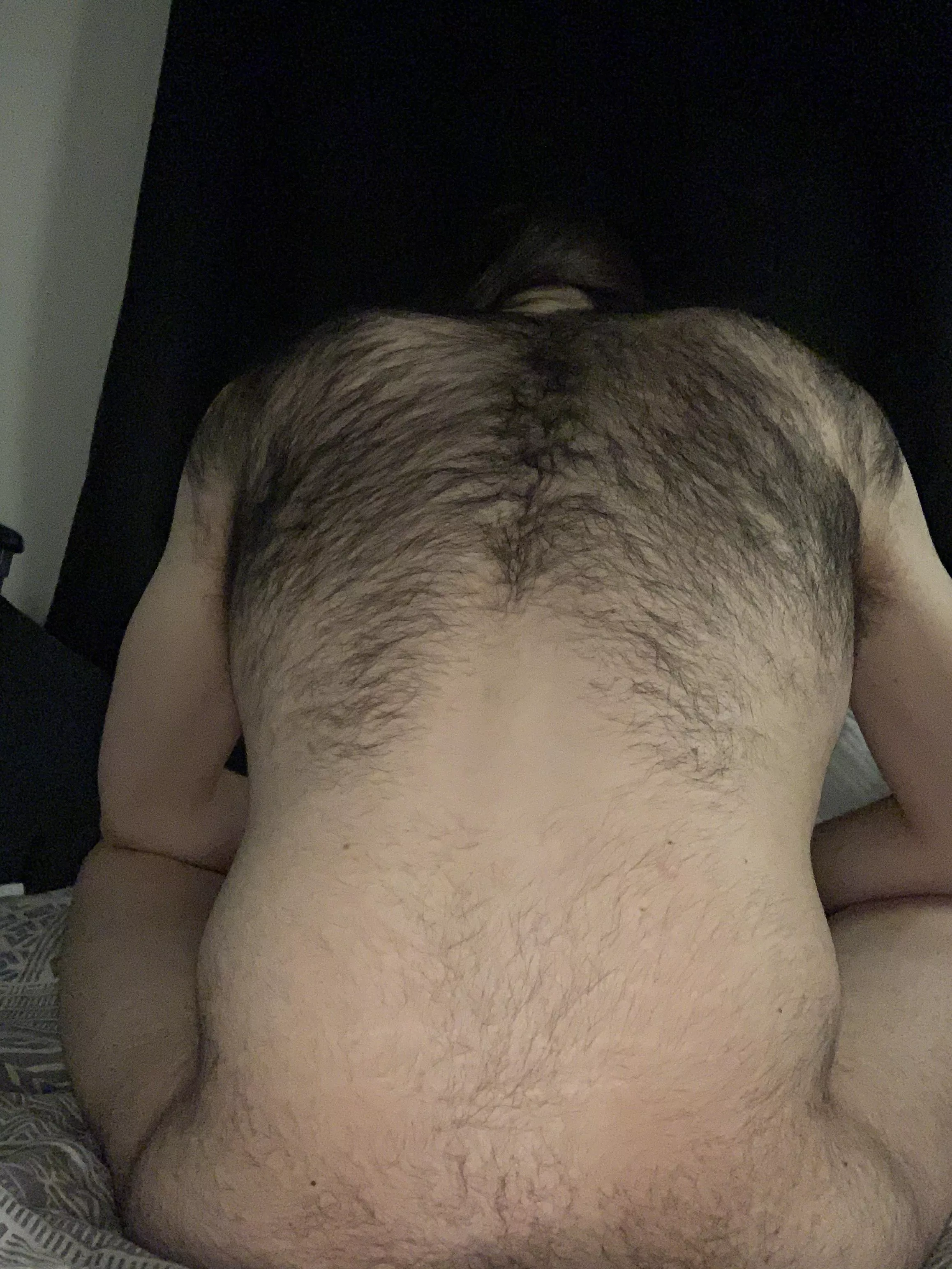 Who lieks a hairy back? posted by baronliberated
