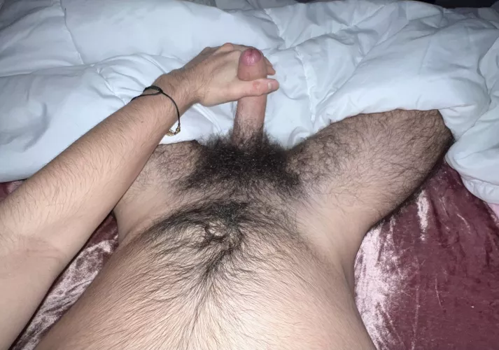 who likes a hairy uncut cock? by sicario18