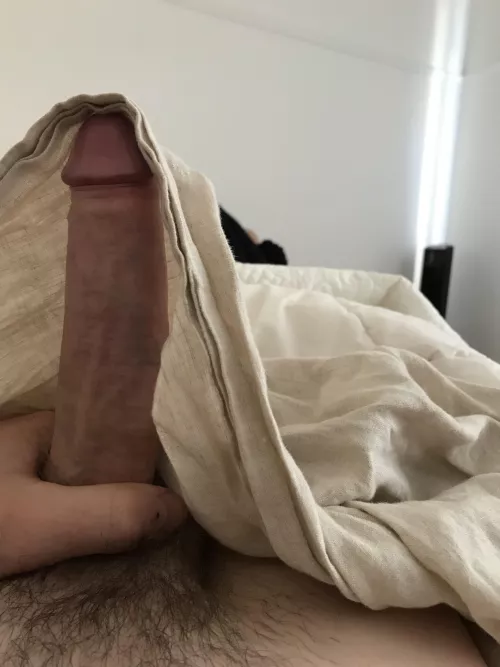 Who likes camping by SaltPangolin6327