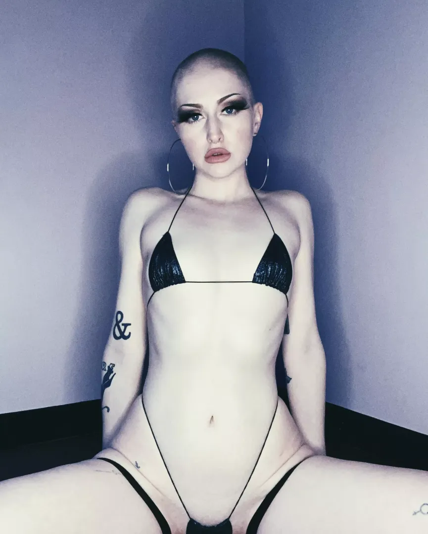 who likes ladies with buzz cuts? 🖤 by bimboeyebrows