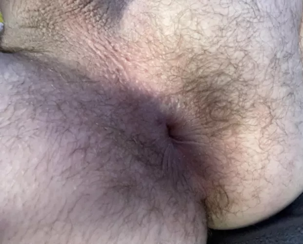 who likes my hairy asshole? by GaL_Phoenix