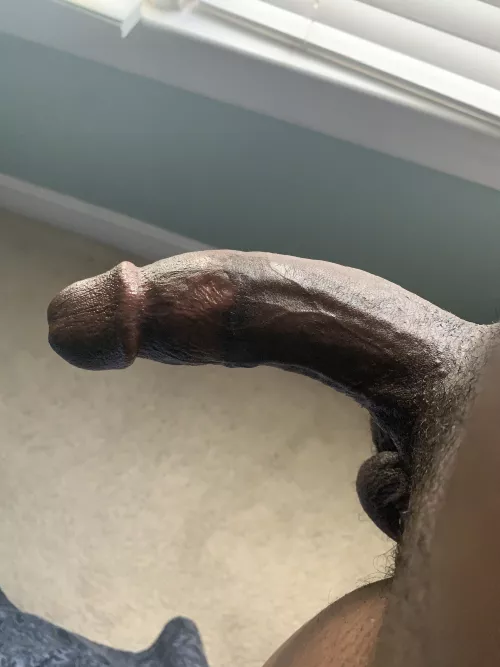 Who needs a nice place to sit by blkbull_nc