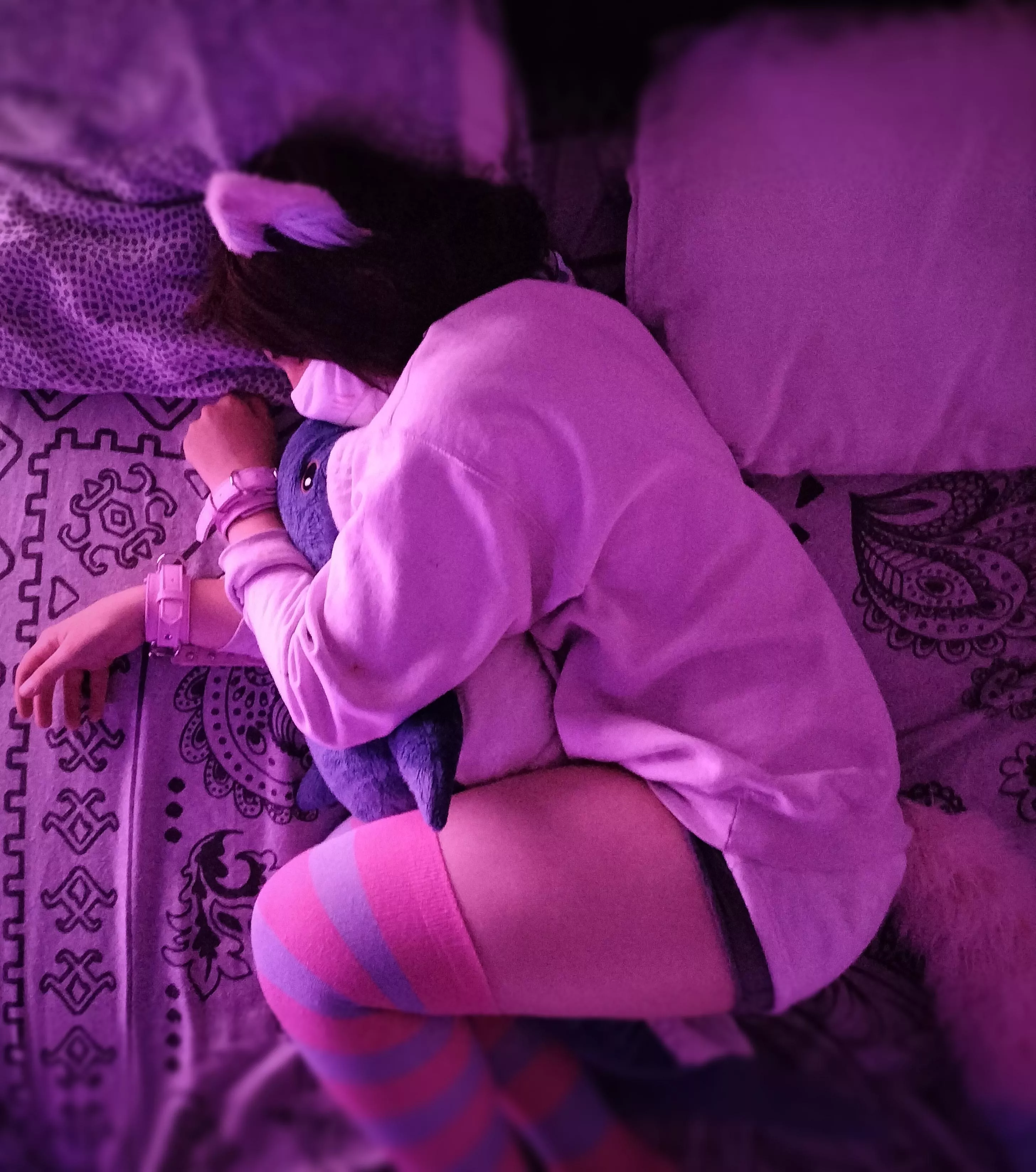 Who said cats and fish can't get along~ posted by Phantom_Shifter