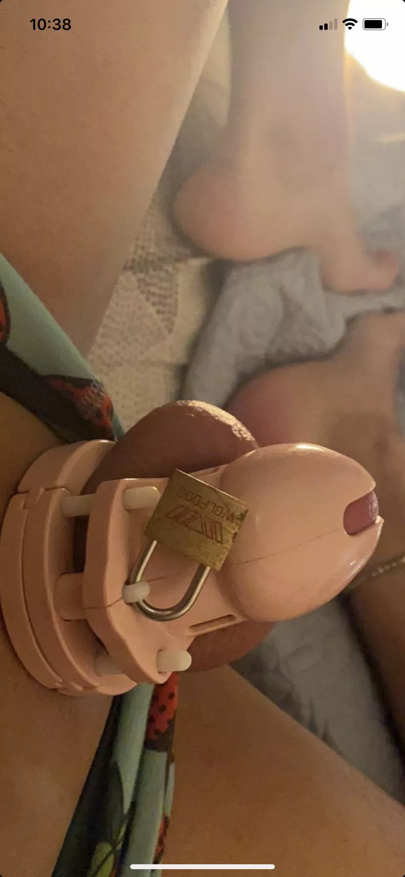 Who thinks I need a much much smaller cage?? Plsss 🔐❣️👑🥵🔐 posted by subslut33