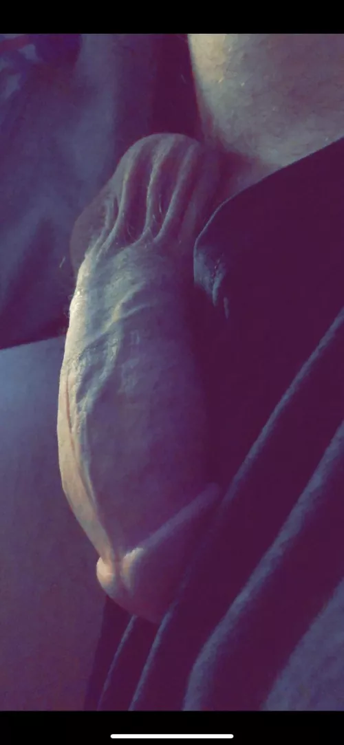 Who wanna help with this?! by Used_Annual6162