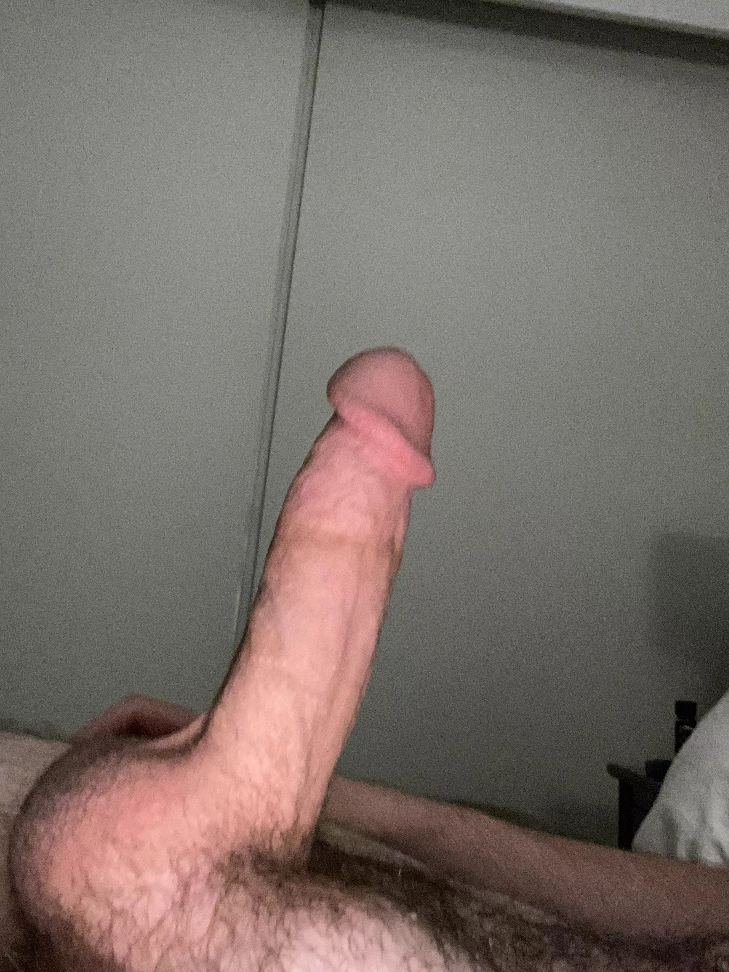 Who want succ posted by FreddieAlfredo