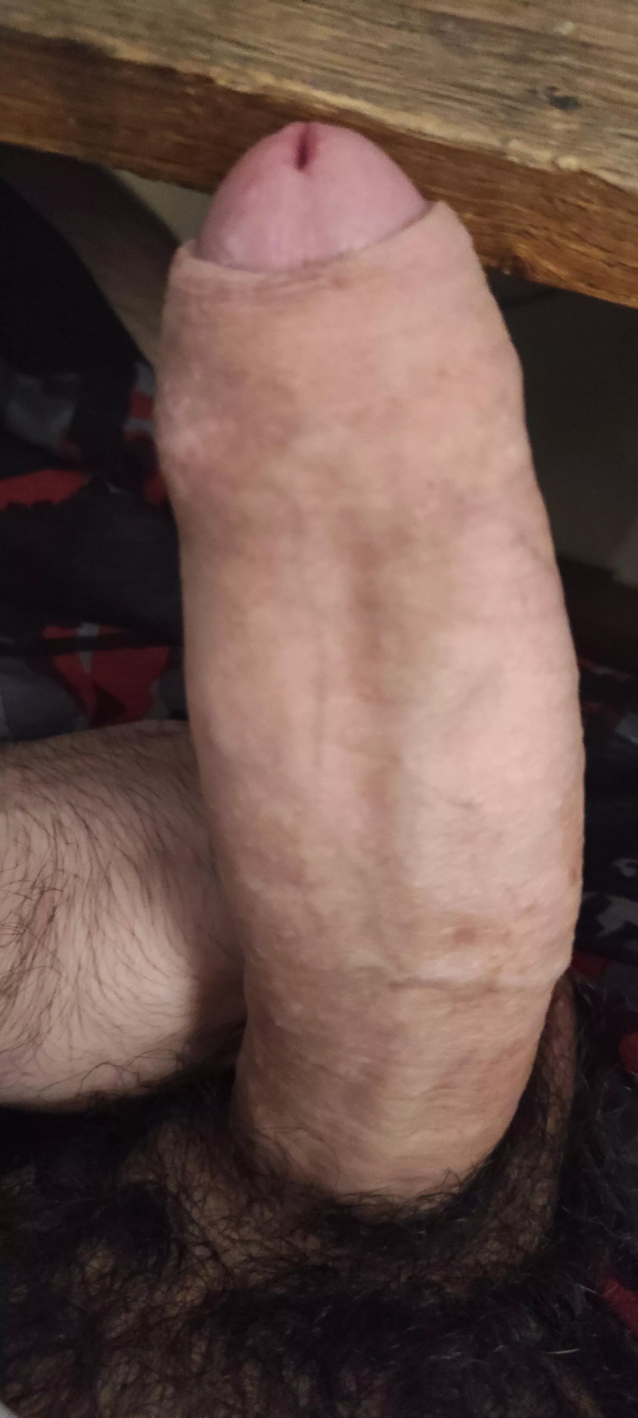 Who want to play now ? posted by persondi